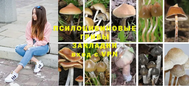 Галлюциногенные грибы ЛСД  где можно купить   Каспийск 